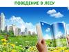 Behavior in the forest (поведение в лесу)