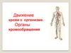Движение крови в организме. Органы кровообращения