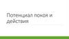 Потенциал покоя и действия