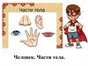 Человек. Части тела