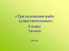 Три склонения имён существительных  (4 класс)