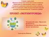 Проект «Экотимуровцы»