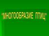 Систематические и экологические группы птиц