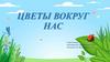 Цветы вокруг нас