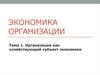 Организация как хозяйствующий субъект экономики