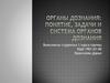 Органы дознания: понятие, задачи и система органов дознания