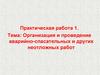 Организация и проведение аварийно-спасательных и других неотложных работ