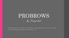 Probrows. Расширенное обучение по бровям, включающее в себя полную теоретическую и практическую часть