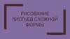 Рисование листьев сложной формы