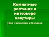 Комнатные растения в интерьере квартиры урок технологии в 6 классе