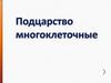 Подцарство многоклеточные