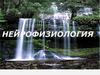 Нейрофизиология