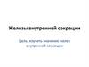 Железы внутренней секреции