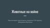 Животные на войне