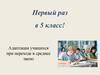 Адаптация учащихся при переходе в среднее звено