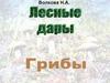 Волкова Н.А. Лесные дары. Грибы