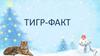 Факты о тиграх