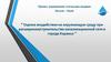 Оценка воздействия на окружающую среду при расширении/строительстве канализационной сети в городе Каракол