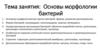 Основы морфологии бактерий