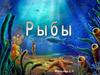 Рыбы