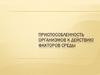 Приспособленность организмов к действию факторов среды