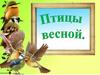 Птицы весной