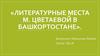 Литературные места М. Цветаевой в Башкортостане