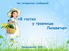 В гостях у травницы Лизаветы