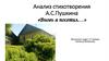 Анализ стихотворения А.С.Пушкина «Вновь я посетил…»