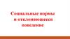 Социальные нормы и отклоняющееся поведение