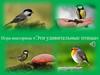 Игра-викторина «Эти удивительные птицы»