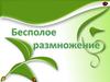 Бесполое размножение