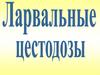 Ларвальные цестодозы