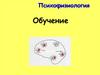 Психофизиология. Обучение