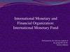 International Monetary and Financial Organization: International Monetary Fund