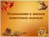 Изменения в жизни животных осенью