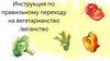 Иструкция по правильному переходу на вегетарианство