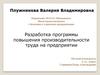 Разработка программы повышения производительности труда на предприятии