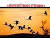 Перелётные птицы