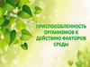 Приспособленность организмов к действию факторов среды