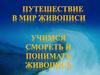 Путешествие в мир живописи