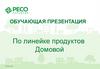 СПАО “РЕСО-Гарантия”. Линейка продуктов Домовой