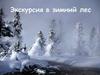 Виртуальная экскурсия в зимний лес