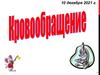 Кровообращение