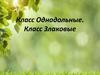 Класс Однодольные. Класс Злаковые