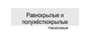 Равнокрылые и полужёсткокрылые насекомые