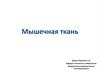 Мышечная ткань