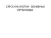 Строение клетки - основные органоиды