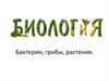 Бактерии, грибы, растения
