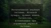 Вегетативная нервная система. Мочевой пузырь, прямая кишка. Паталогии, возникающие при поражении нервной системы